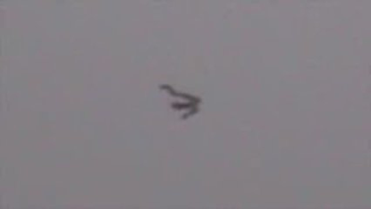 Ovni / Ufo * INCROYABLE * Swarm Version Zoom 14 Mars 2009