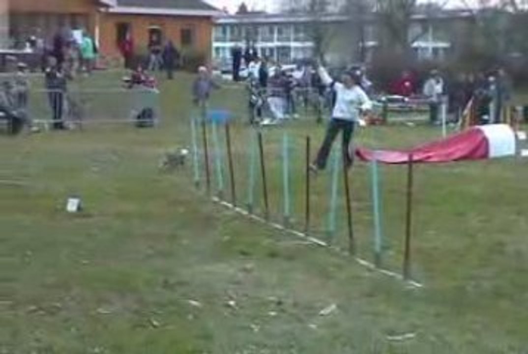 Boom Jumping Agility Cote St André 14/03/2009