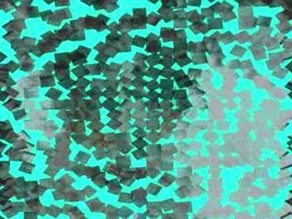 Diwan de 2mois à aujourd'hui <3