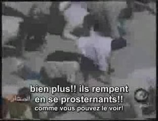 Taqya & shirk des chiites