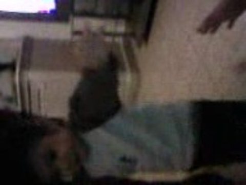 les 1er pas de miguel a 11 mois