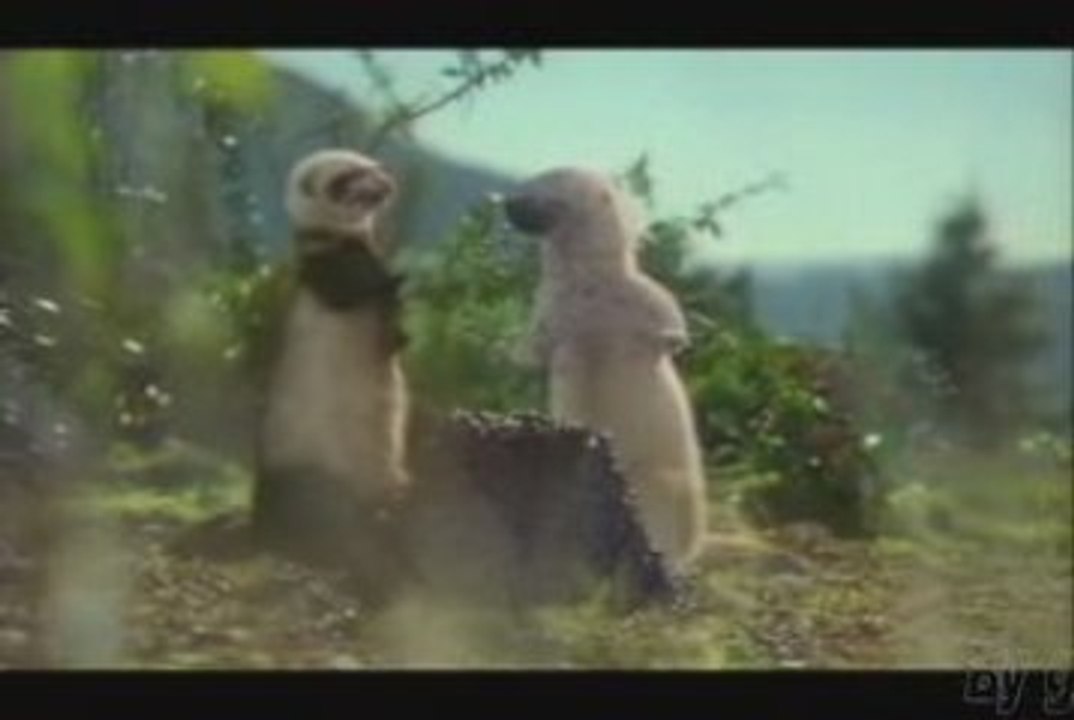 Oxo pub Fdjeux (byggc) les deus fouines