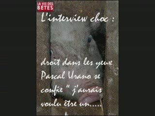 08 J28 REIMS SEDAN : Avant match