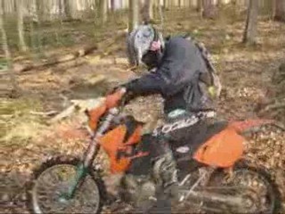 Sortie 15 03 2009
