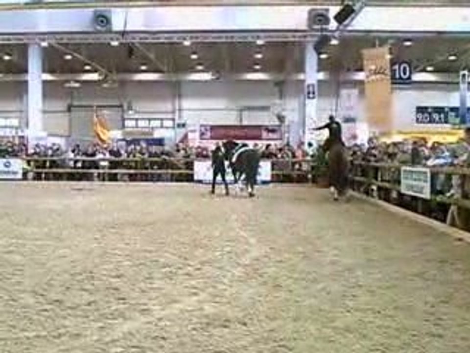 CLIP0006