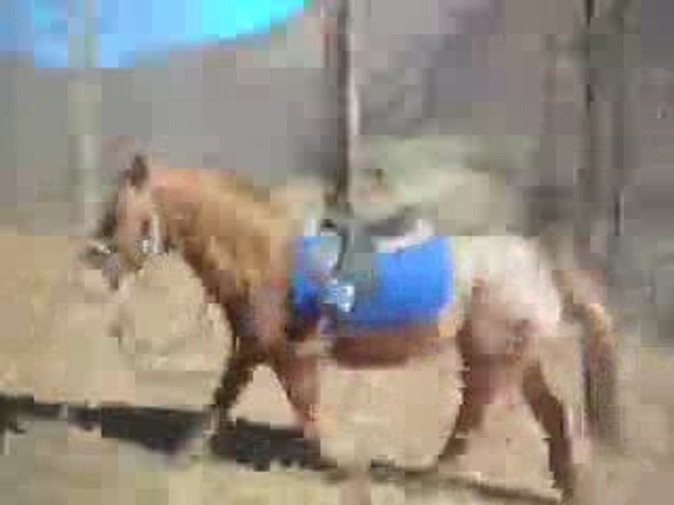 SéanceO'Maley3