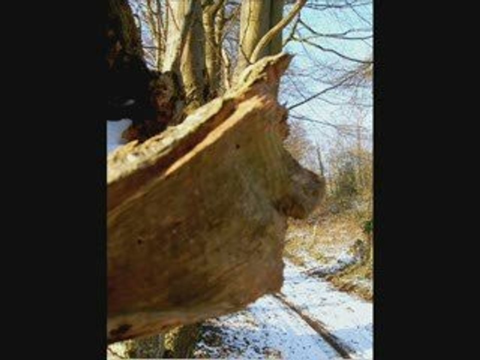 Mont Bénard. Oise. France.