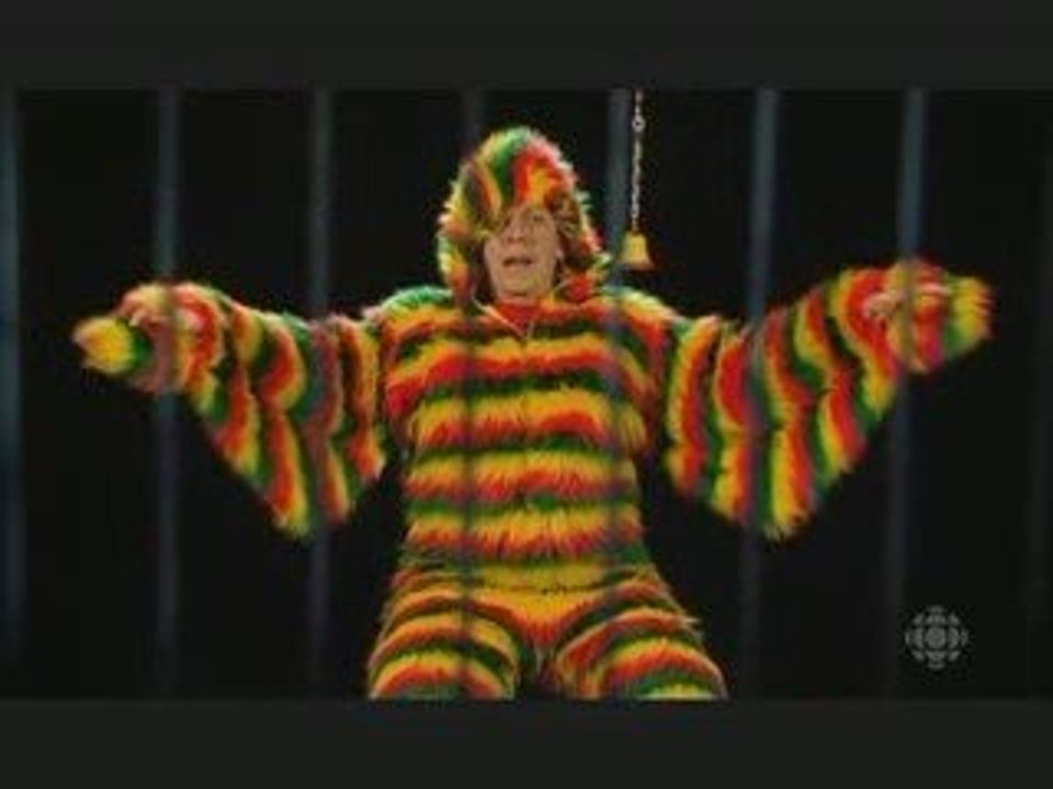 Le perroquet & l'économie - 3600 secondes d'extase