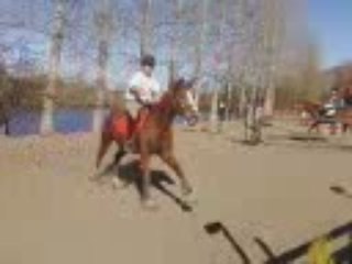 Axel nils simple