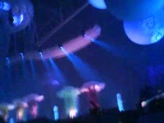 SENSATION WHITE 2009 HASSELT N°3