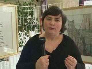 Expo Chat Vu Chat Lu Fouquieres lez Lens