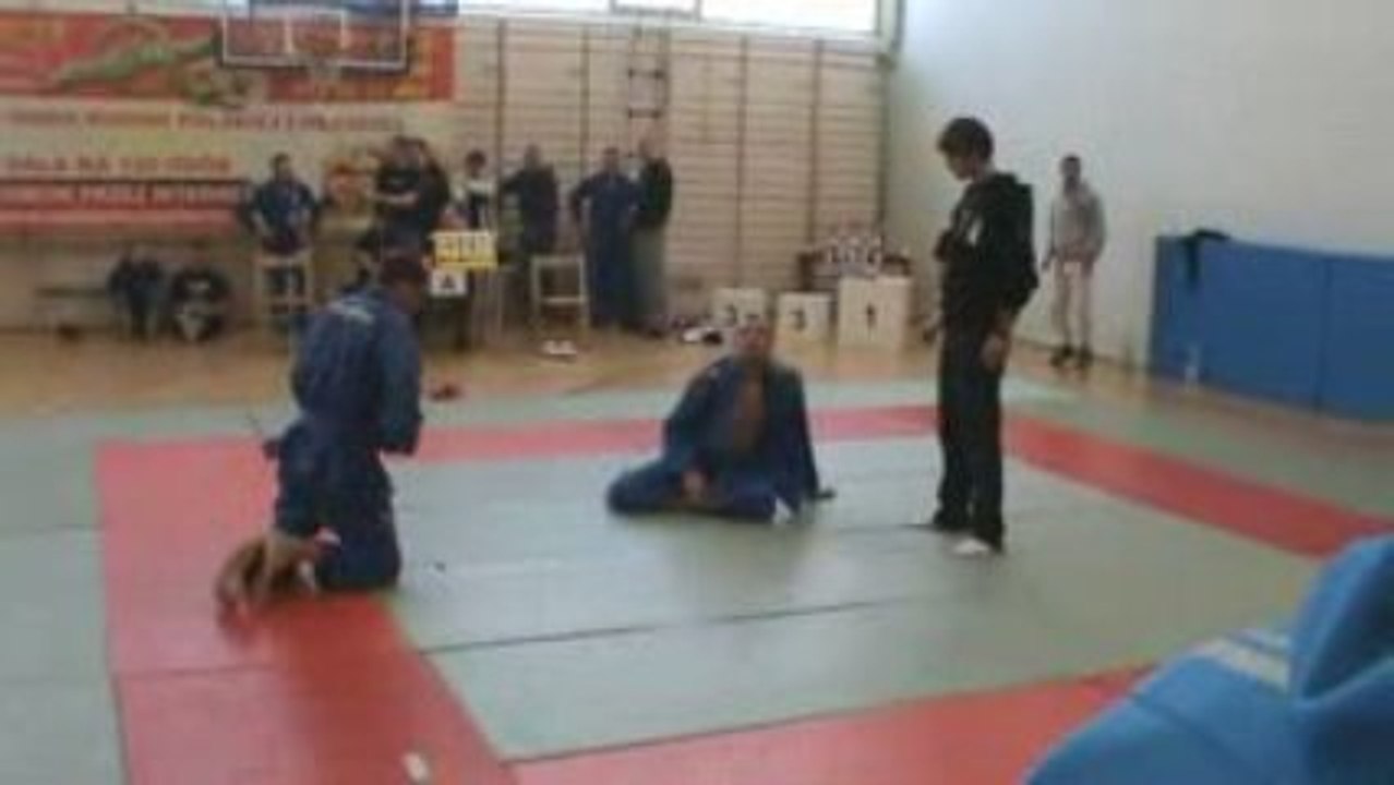 Liga Bjj elita