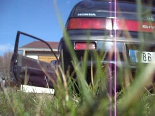 Civic Skunk2 full