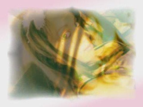 Feliz Cumpleaños Mi Amor!!!!!