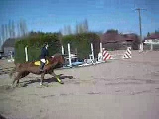 Club PONEY 2 avec Neptune dsl à partir du 5