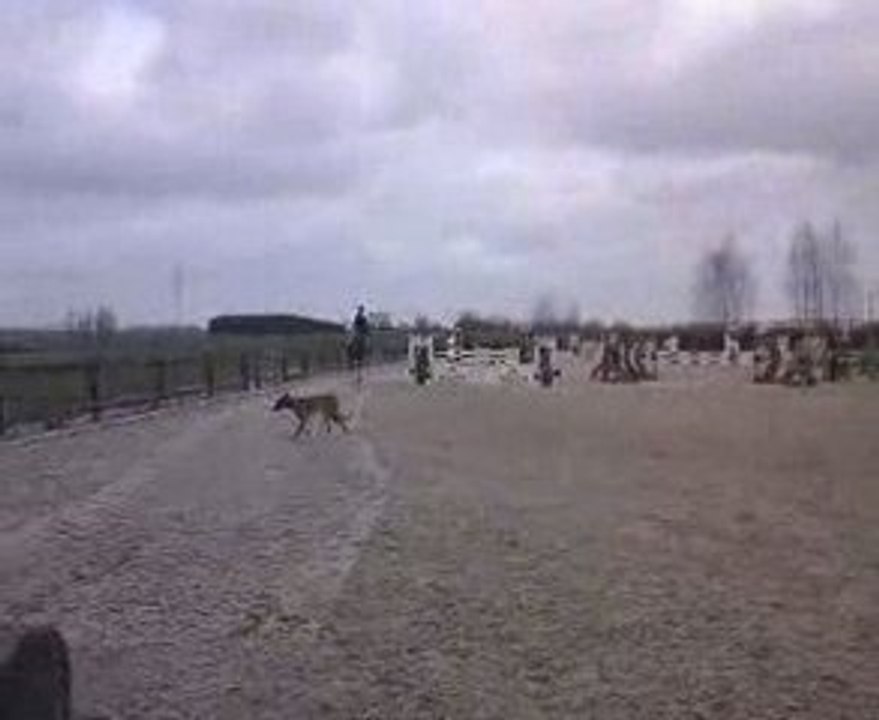 Kiki & moi tour d'honeur du 1M10 suite