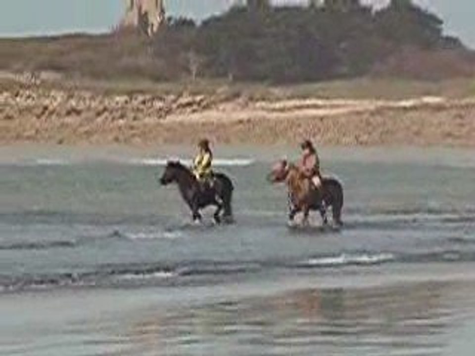 Iota et kamelia  la plage