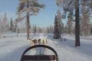 Balade en Huskies (Laponie finlandaise)