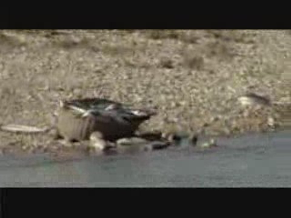 Une bonne pêche !