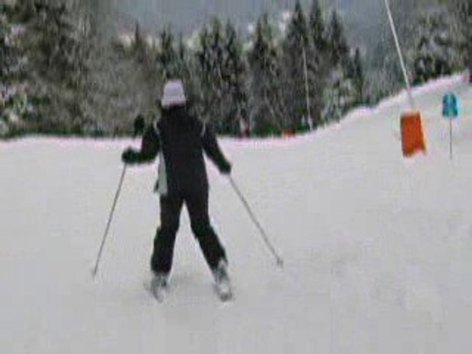 ski