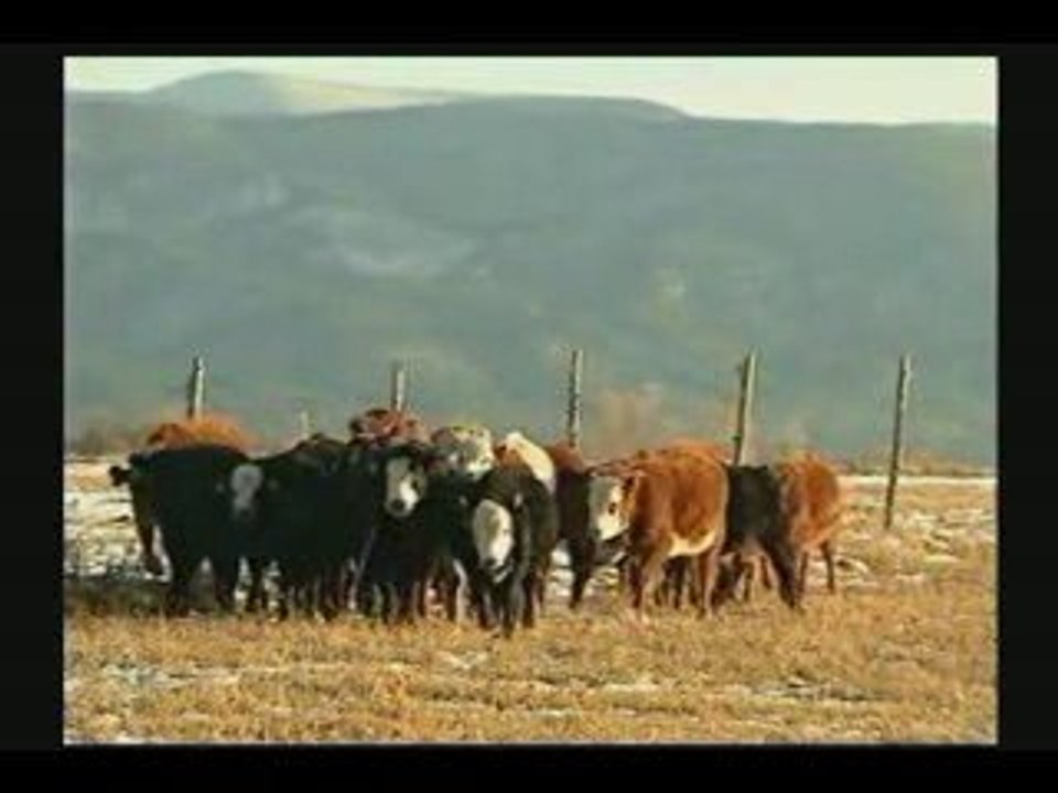 Dossiers Ovni 06 - Mutilations Animales 5/5