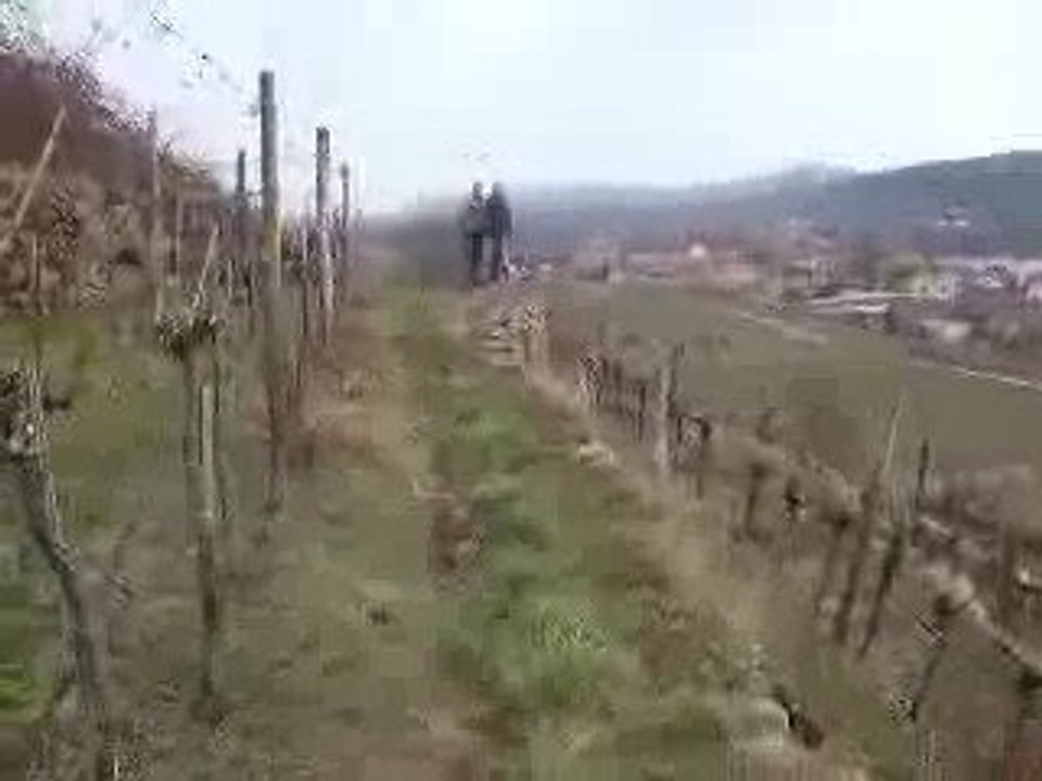 sikoly