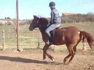 King debourage 16 03 09 (7)