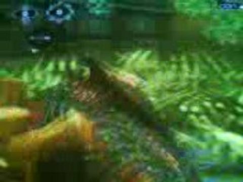 Gears of war 2 Bugs speed speed