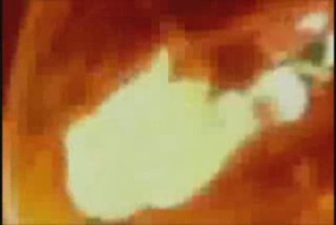 Tears and Roses (Shadow The Hedgehog - Whispers in the Dark)