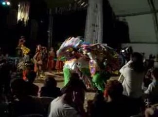 Festival de culture populaire de brasilia