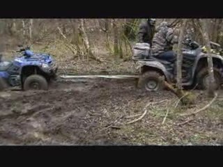 Bain de boue pour denis