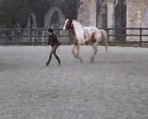 Etho liberté 15 mars 09