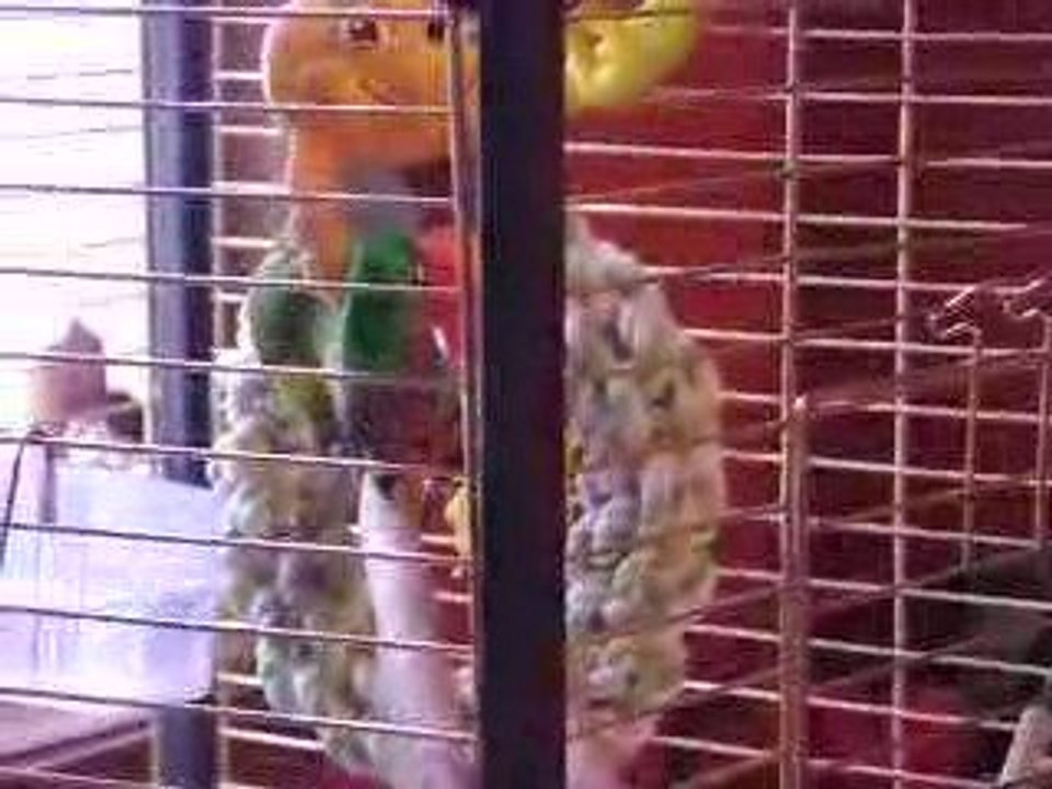 MOV00049