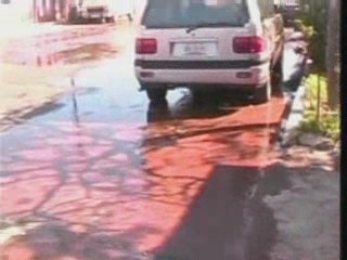 Hector Polo, Noticia: 090312 cespe pipila