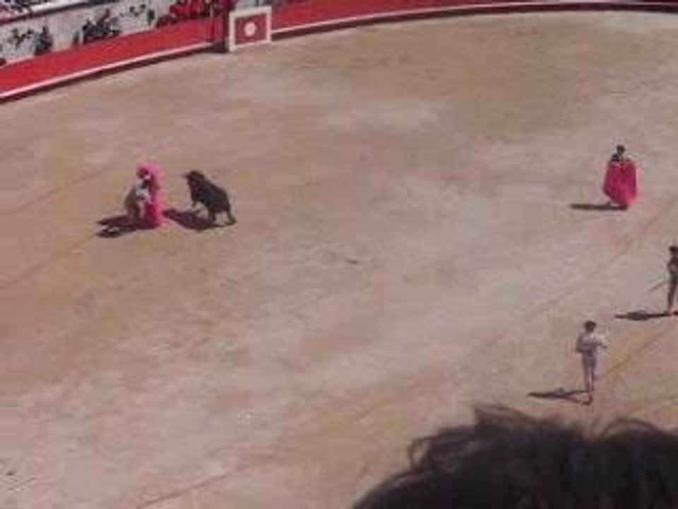 picadors
