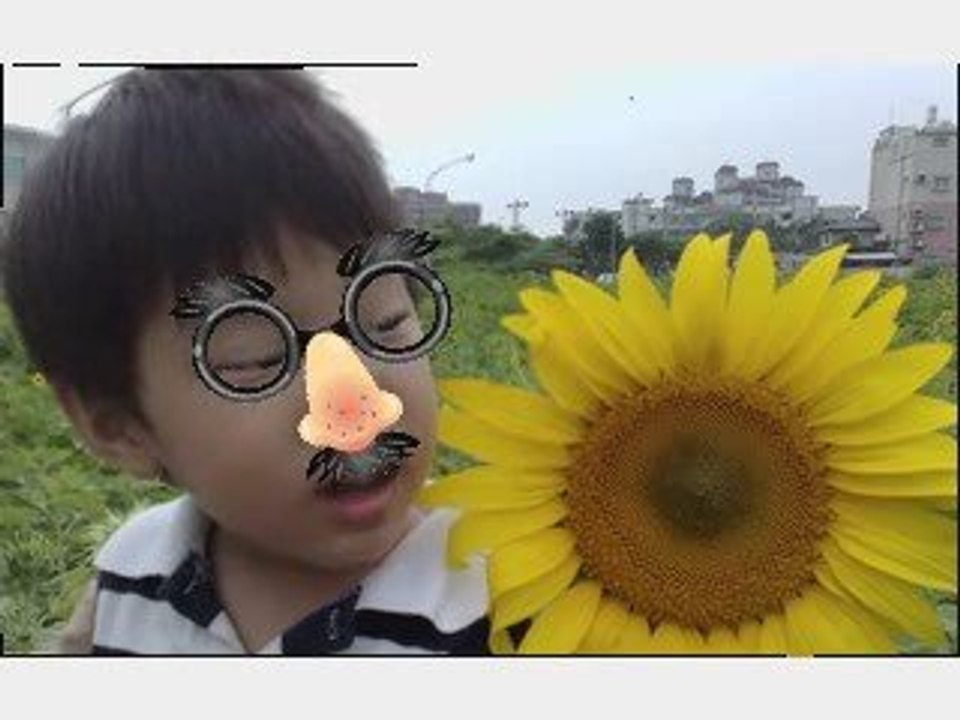 搞笑    搞笑