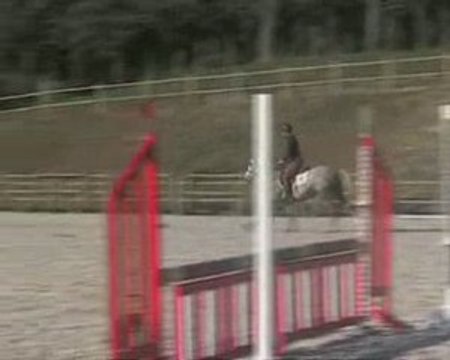 Roudoudou d'hurl'vent, entrainement à Gavray