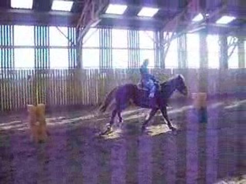 Tonka au Pole bending 1