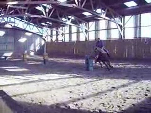 Tonka au Pole bending 2