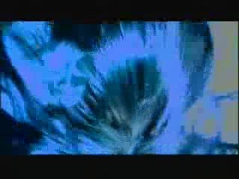 Ирина Флорин - Мога