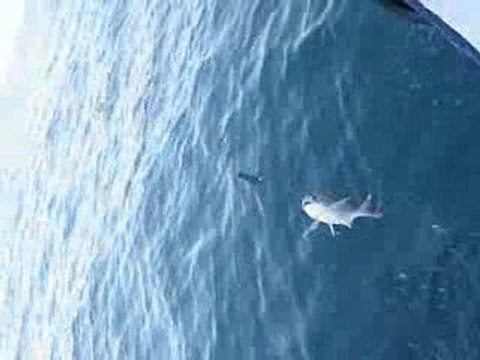 MORDOGAN KAYNARPİNAR DA BALİK AVI 15-03-2009