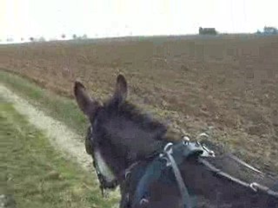 IMGP0278