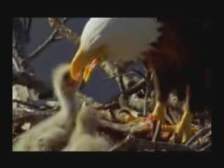 Bee Note - It's time 2 party