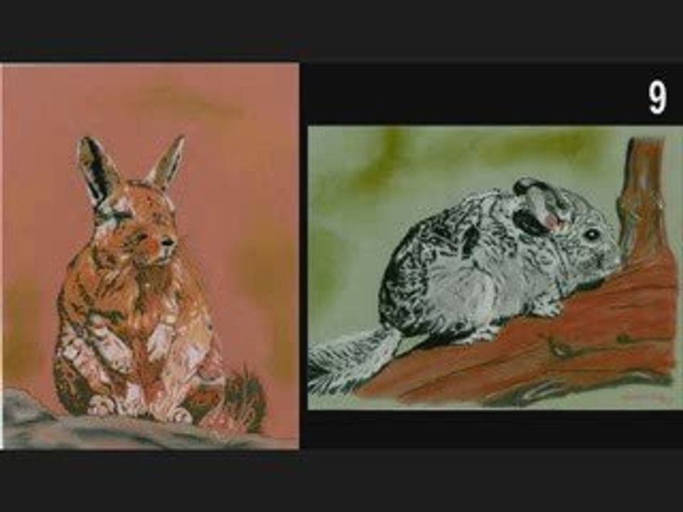 Mi pinturas Peruanas Peru Arequipa