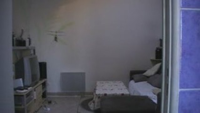 E-sky lama v4 by geoff