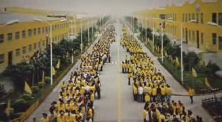 Manufactured landscape (paysage manufacturé) 2/5