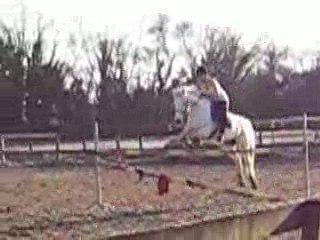 lisa & Haendel (13.03.09)