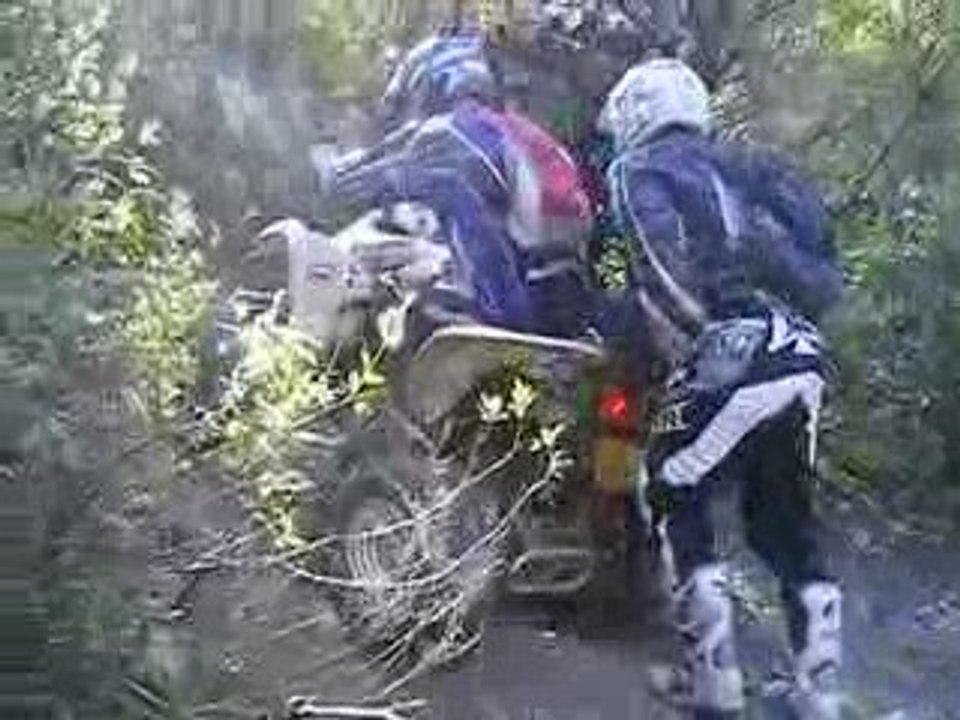 le corse