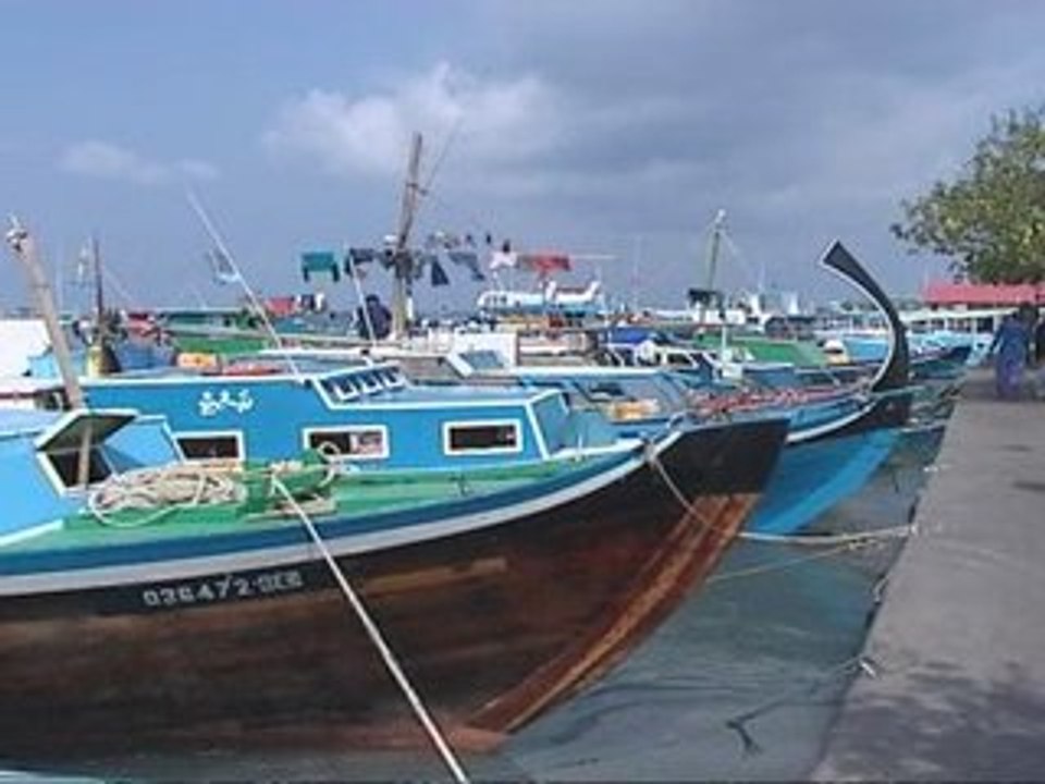 Maldives plans V8 climate group