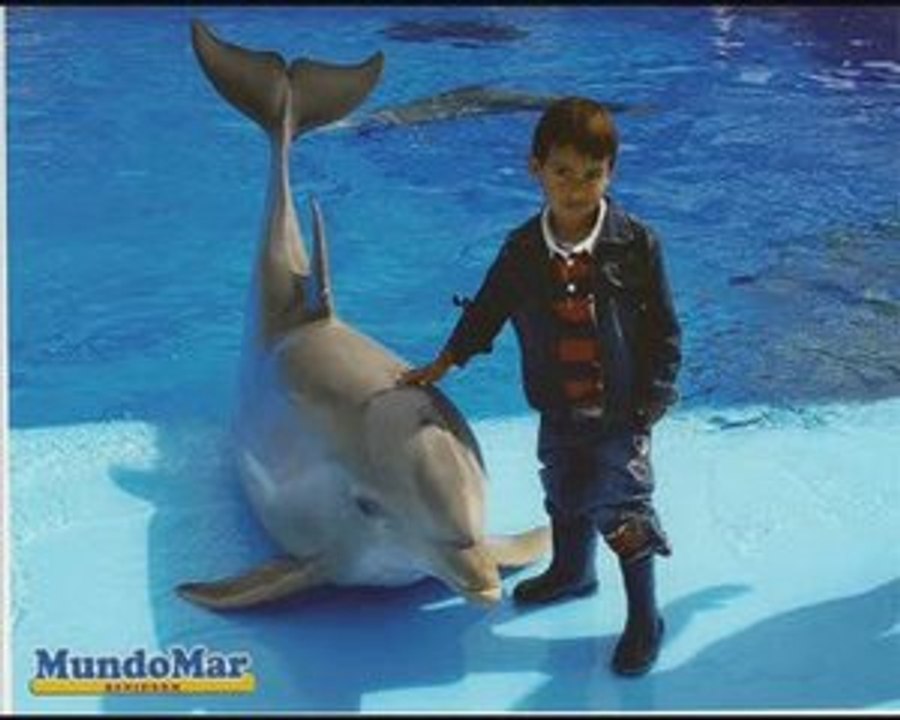 Paseando